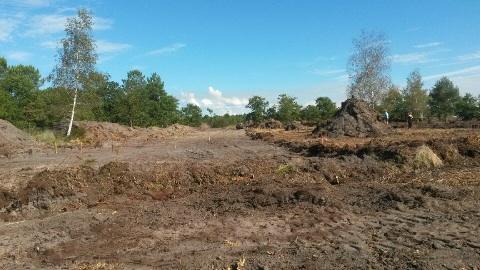 5TERRAIN